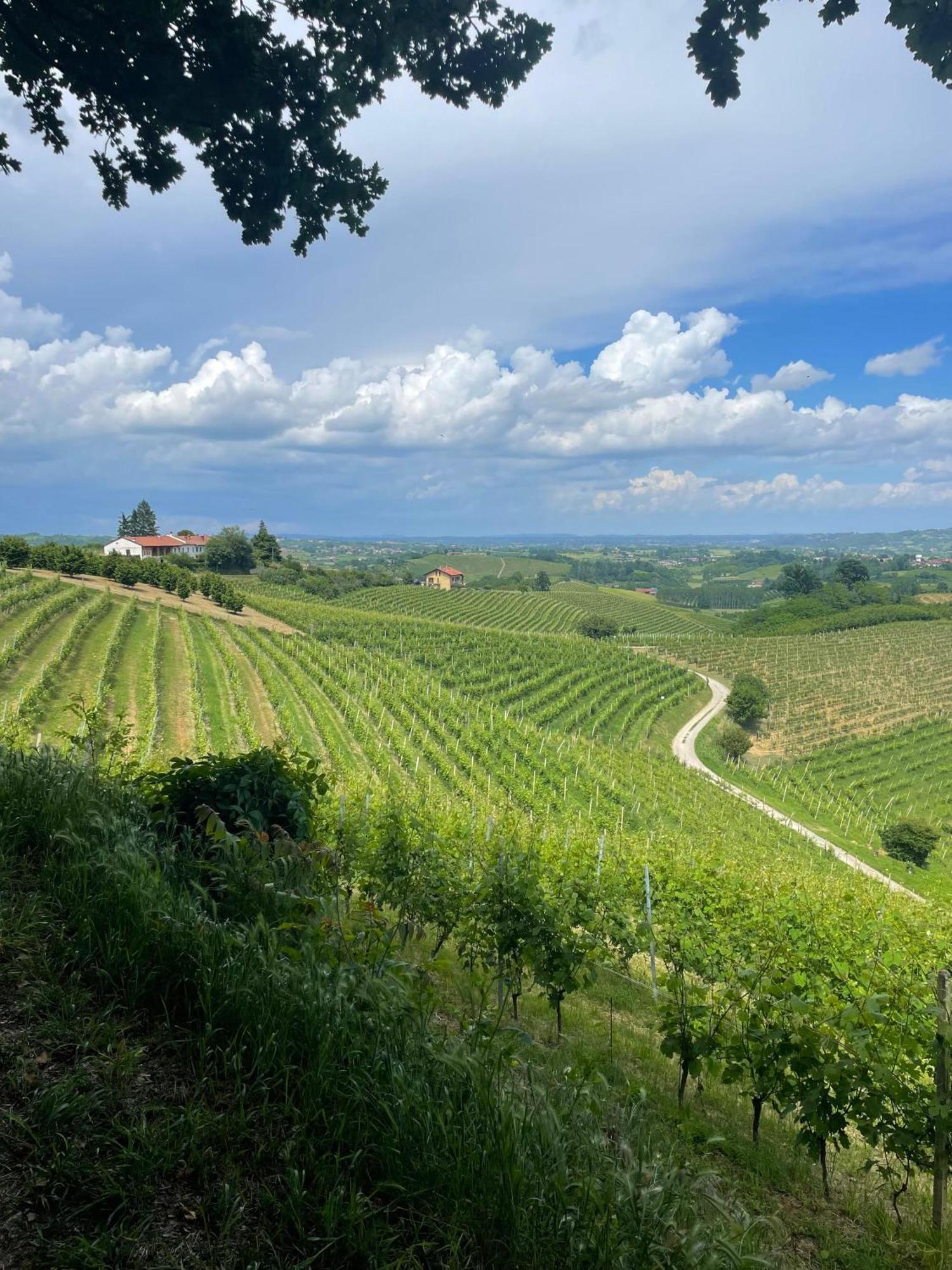 San Damiano dʼAstiCa' Colomba别墅 外观 照片